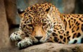 /album/fotogaleria/images-1-jpg/